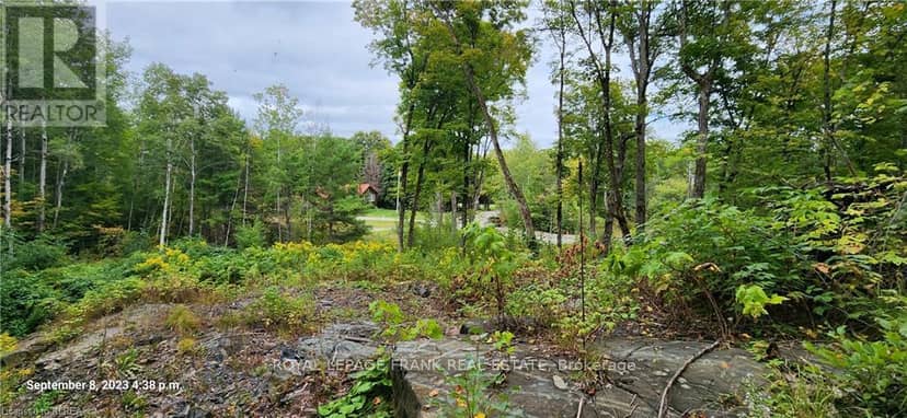 169 Northern Avenue, Trent Lakes, photo 3