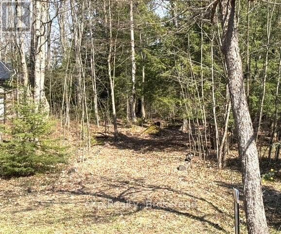 Pt Lt 21 Grey Road 12 Road — photo 1 of 7
