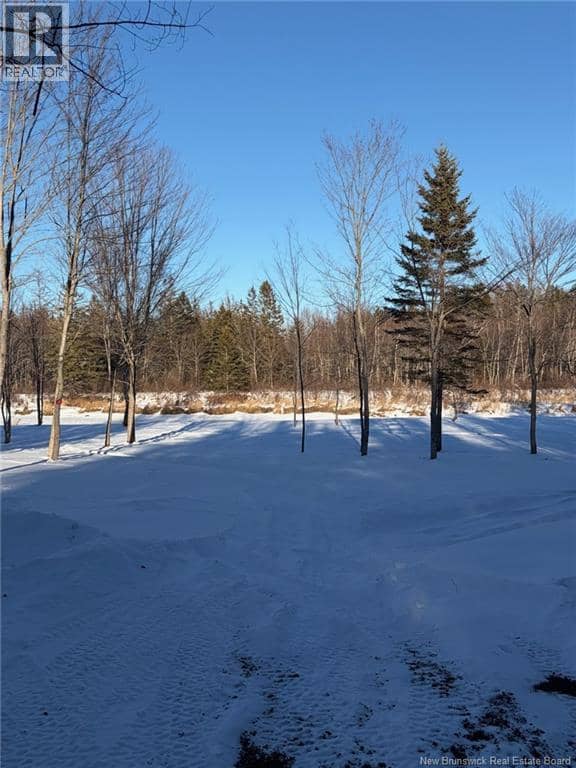 00-1 Reardon Road — photo 11 of 17
