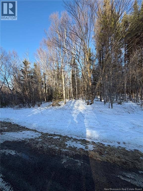 00-1 Reardon Road — photo 16 of 17