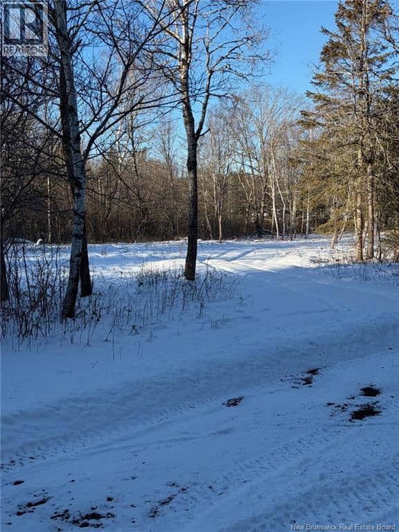00-1 Reardon Road — photo 14 of 17