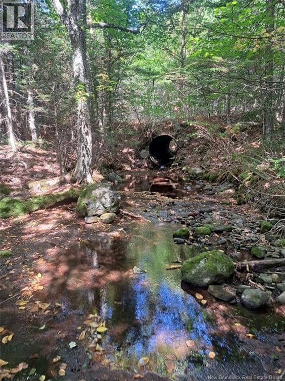 0 Mosher Hill Road, St. Martins, photo 2