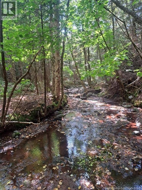 0 Mosher Hill Road, St. Martins, photo 3