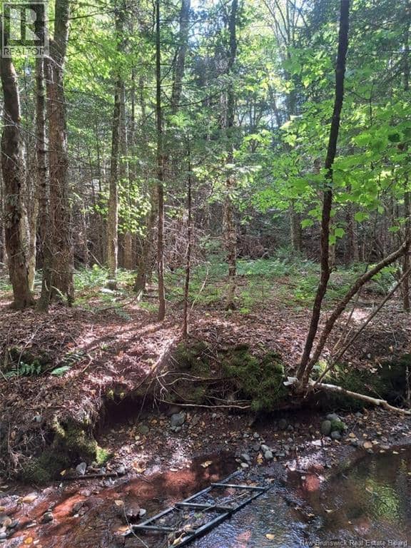 0 Mosher Hill Road, St. Martins, photo 5
