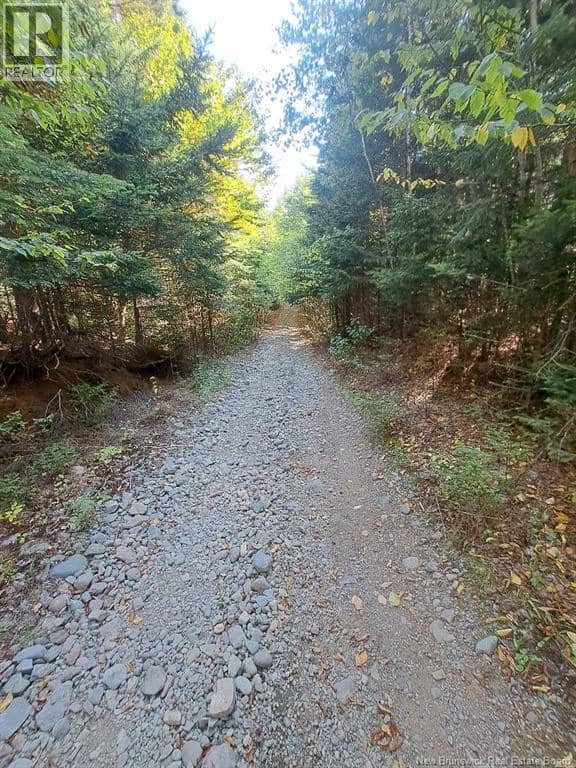 0 Mosher Hill Road, St. Martins, photo 7