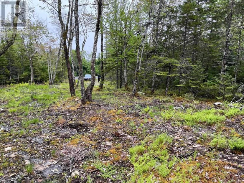 Lot 1A-81 Maple Drive, Cape George Estates, photo 2