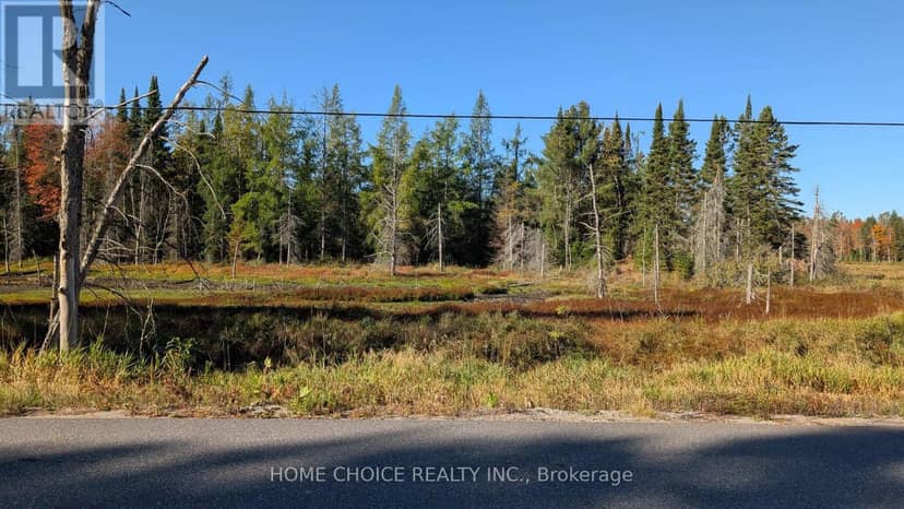 1172 Barkway Road, Gravenhurst, photo 6