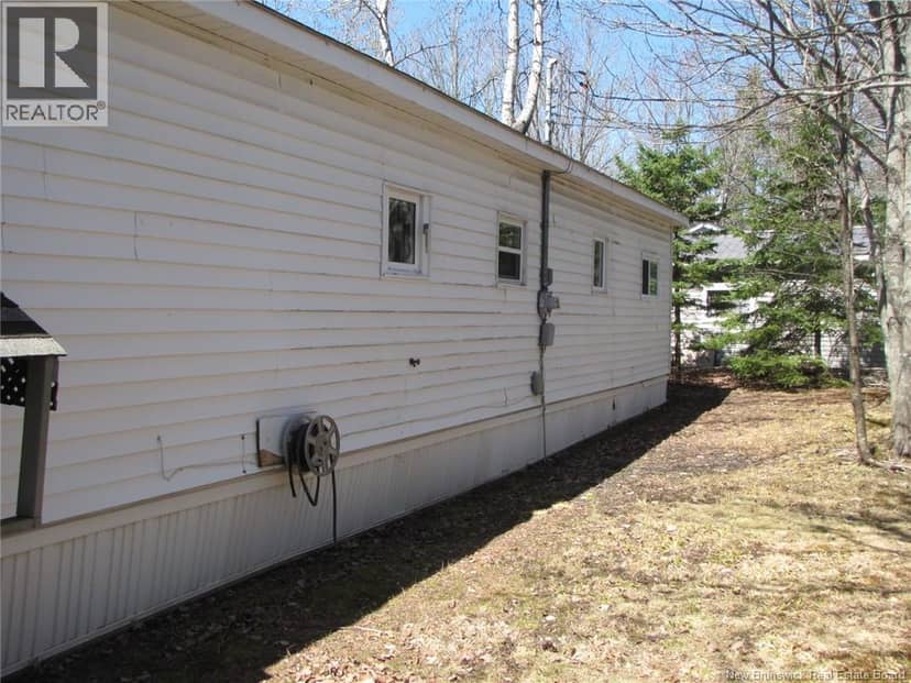 12 Pinetree Street — photo 5 of 20