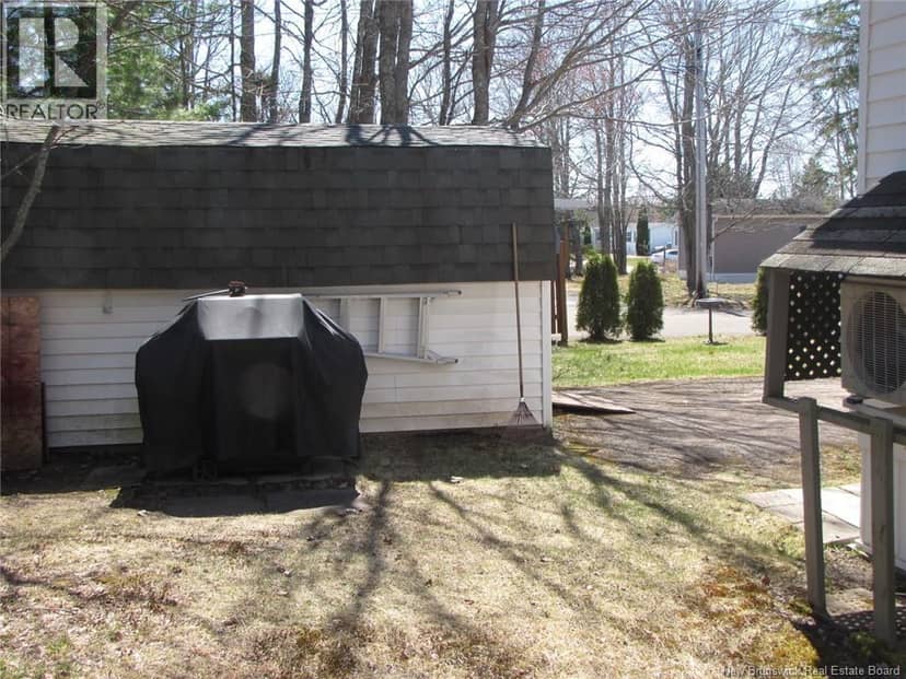 12 Pinetree Street — photo 6 of 20