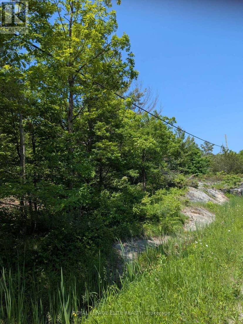 559 Honey Harbour Road — photo 4 of 6