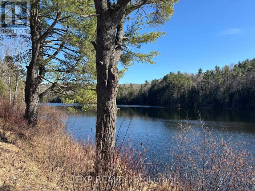 000 Opeongo Road — photo 8 of 19