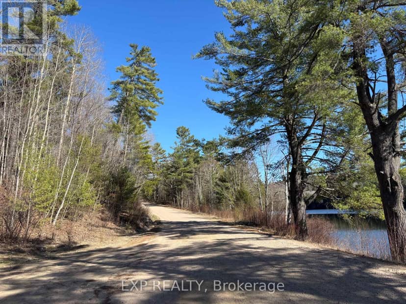 000 Opeongo Road — photo 3 of 19