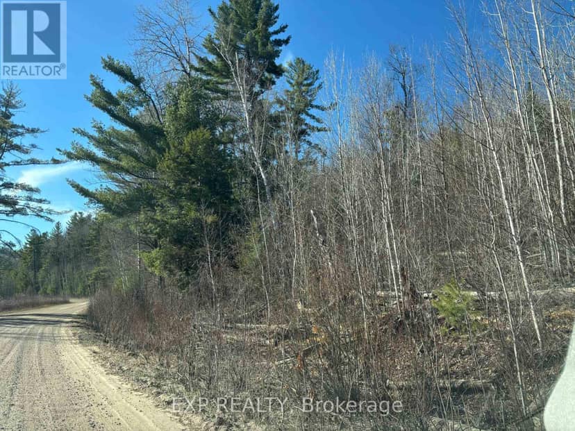 000 Opeongo Road — photo 6 of 19