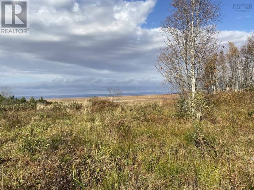 Lot 1 Highway 215 — photo 10 of 12
