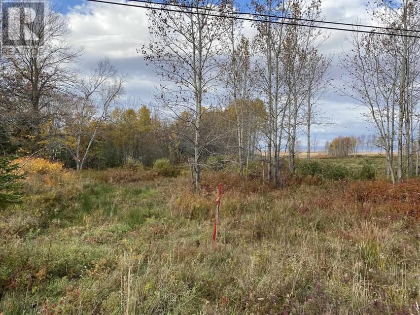 Lot 1 Highway 215 — photo 2 of 12