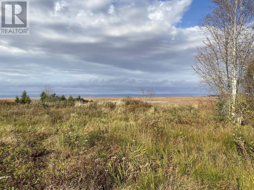 Lot 1 Highway 215 — photo 8 of 12