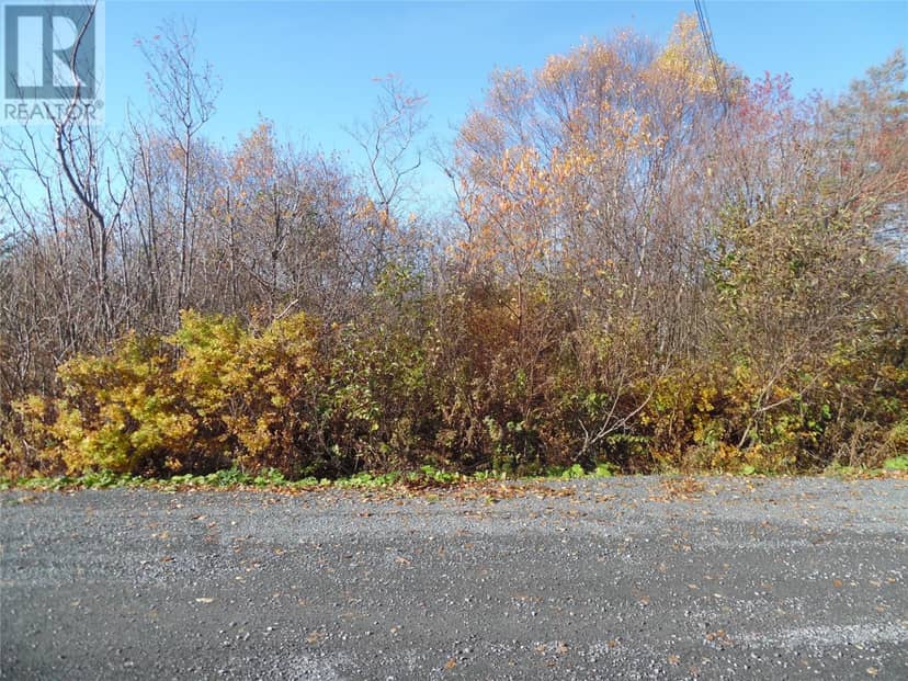 10 Beach Road, Clarenville, photo 3