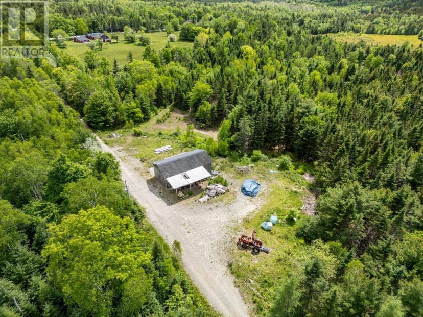 2925 Highway 203, East Kemptville, photo 7