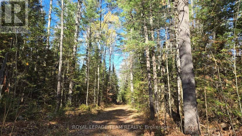 00 (31253) Highway 41 Highway — photo 15 of 19