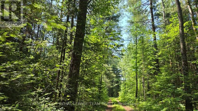 00 (31253) Highway 41 Highway — photo 4 of 19