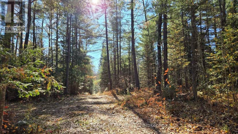 00 (31253) Highway 41 Highway — photo 16 of 19