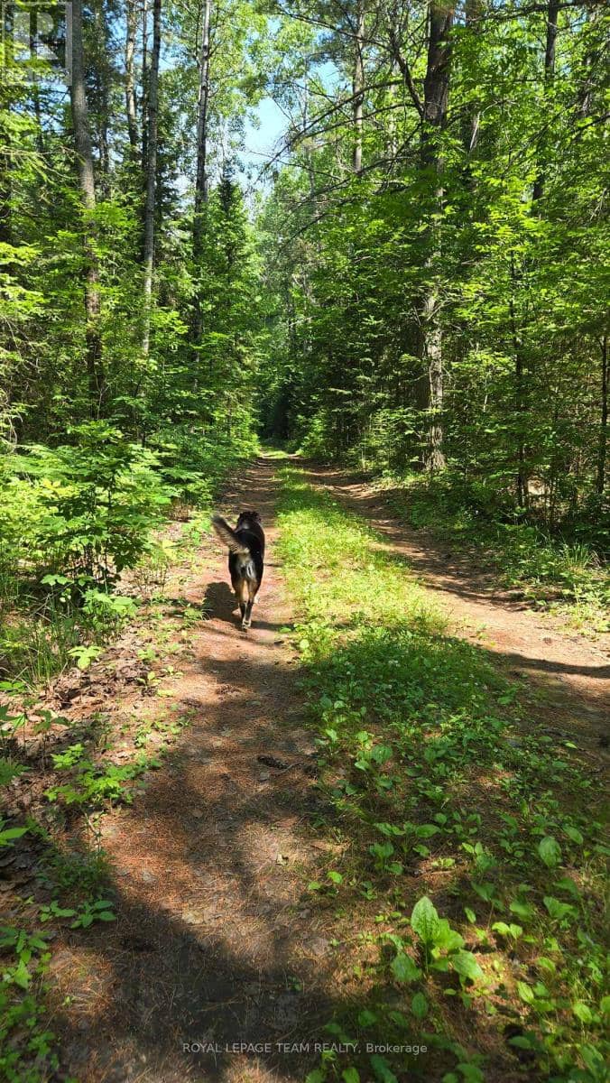 00 (31253) Highway 41 Highway — photo 14 of 19