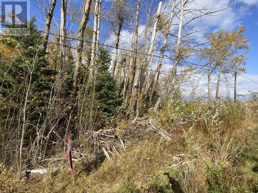 Lot 3a Highway 215 — photo 2 of 5