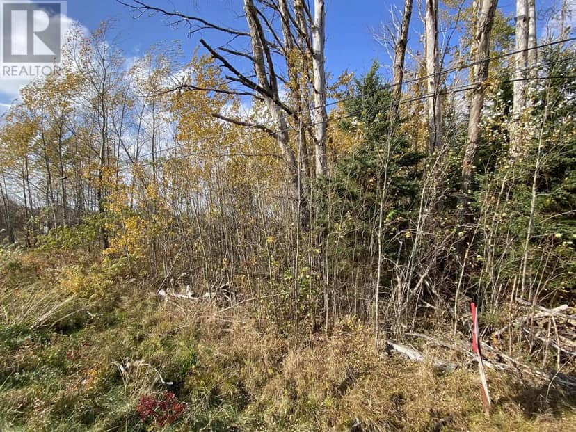 Lot 3a Highway 215 — photo 3 of 5