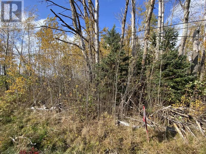 Lot 3a Highway 215 — photo 4 of 5