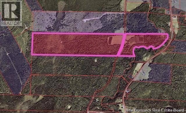 Lot 3 Gamble Road, South Branch, photo 3