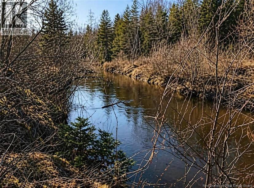 Lot 3 Gamble Road, South Branch, photo 4