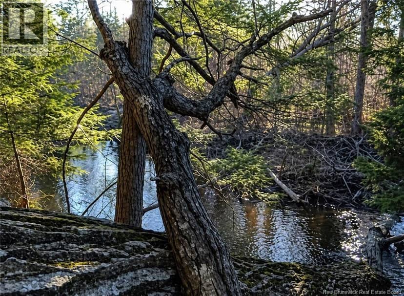 Lot 3 Gamble Road, South Branch, photo 5