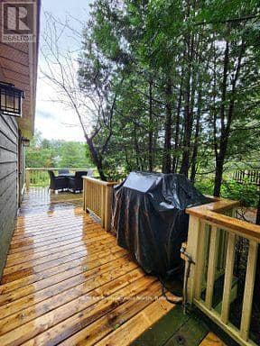 Sandfield 2, Week 10 - 3876 Muskoka Road 118 — photo 29 of 38