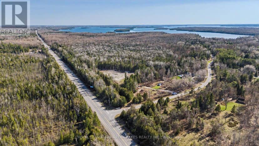 6369 Highway 35, Kawartha Lakes, photo 7