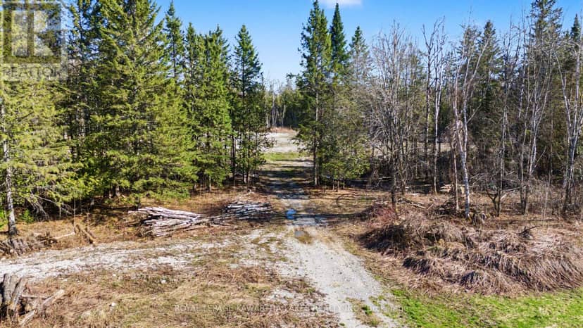 6369 Highway 35, Kawartha Lakes, photo 4