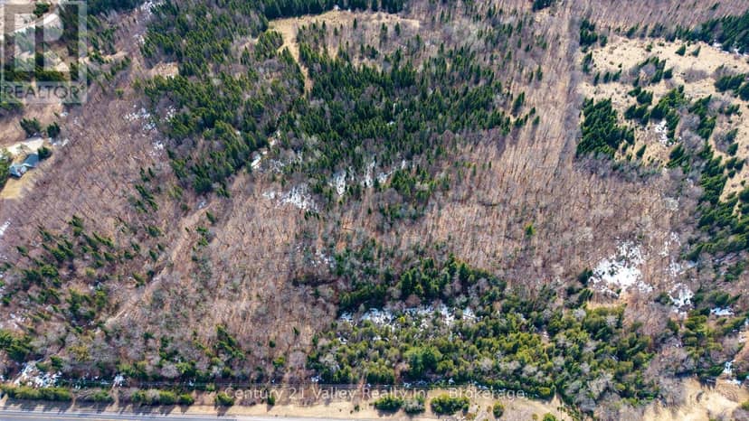 Lot 1 Foymount Road, Bonnechere Valley, photo 5