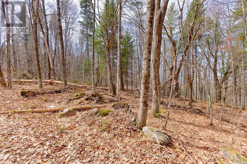 Lot 1 Foymount Road, Bonnechere Valley, photo 6