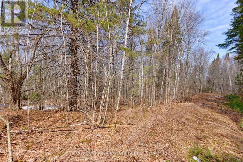 Lot 1 Foymount Road, Bonnechere Valley, photo 8