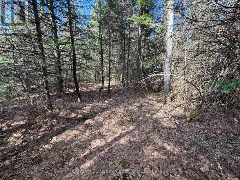 Lot 2 Foymount Road, Bonnechere Valley, photo 8