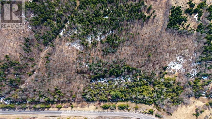 Lot 3 Foymount Road, Bonnechere Valley, photo 2
