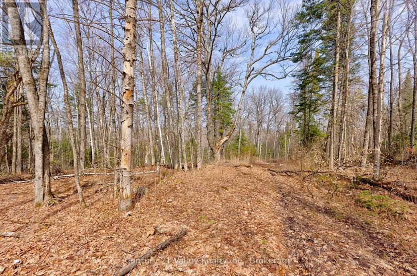 Lot 3 Foymount Road, Bonnechere Valley, photo 6