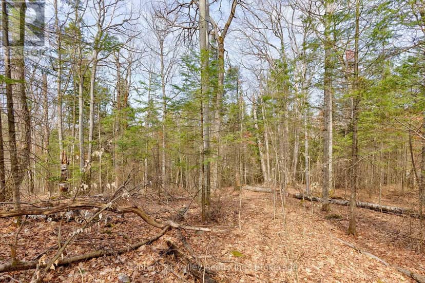 Lot 3 Foymount Road, Bonnechere Valley, photo 7