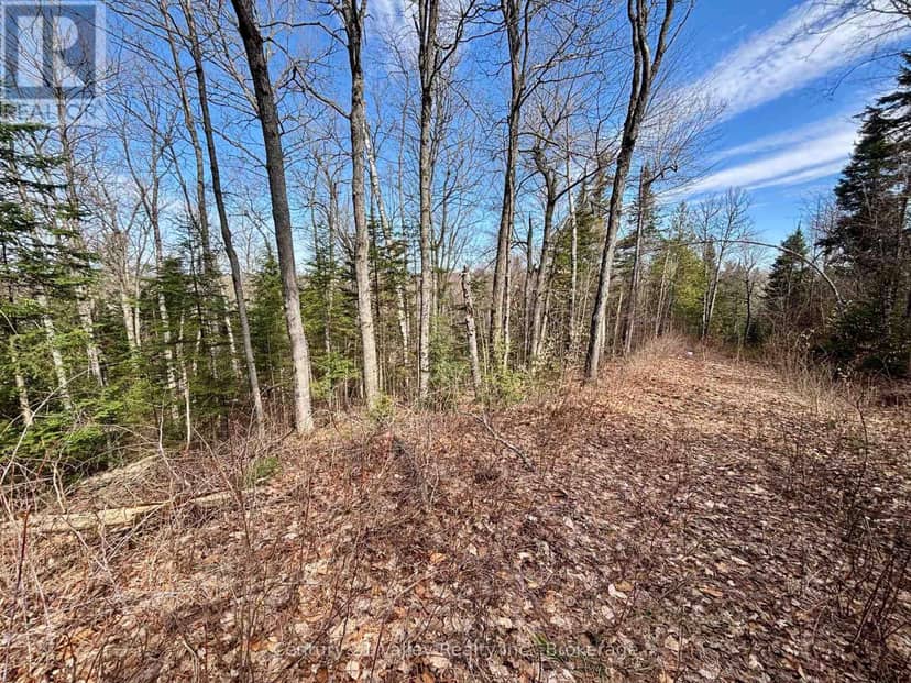 Lot 3 Foymount Road — photo 9 of 11