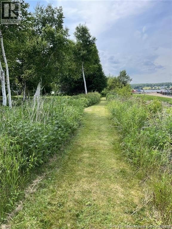 4361 Water Street — photo 40 of 40