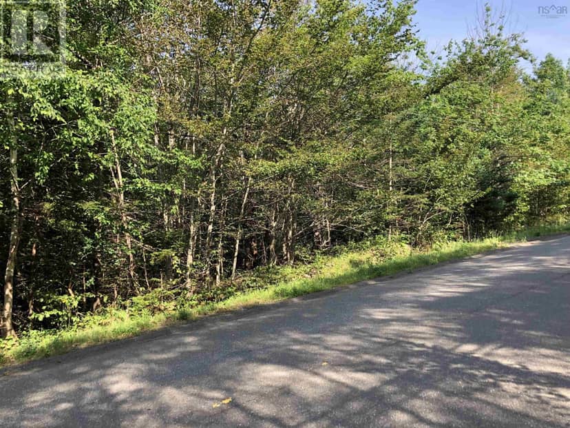 Lot Lighthouse Road, Bay View, photo 2
