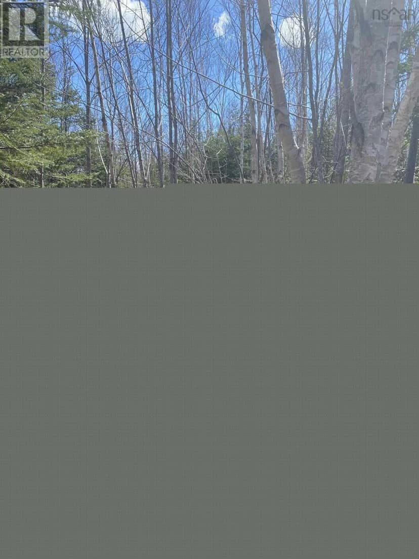 Scotsville Road — photo 5 of 12