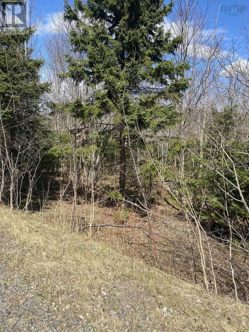 Scotsville Road — photo 7 of 12