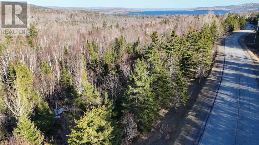 Scotsville Road — photo 4 of 12