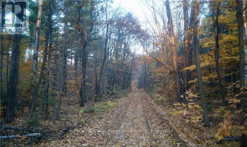 Pl 20 Concession 18 W — photo 3 of 7