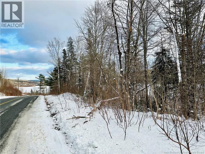 Lot 09-01 Route 105 — photo 22 of 27